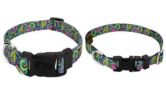 Purchasing a New Dog Collar - Polyester