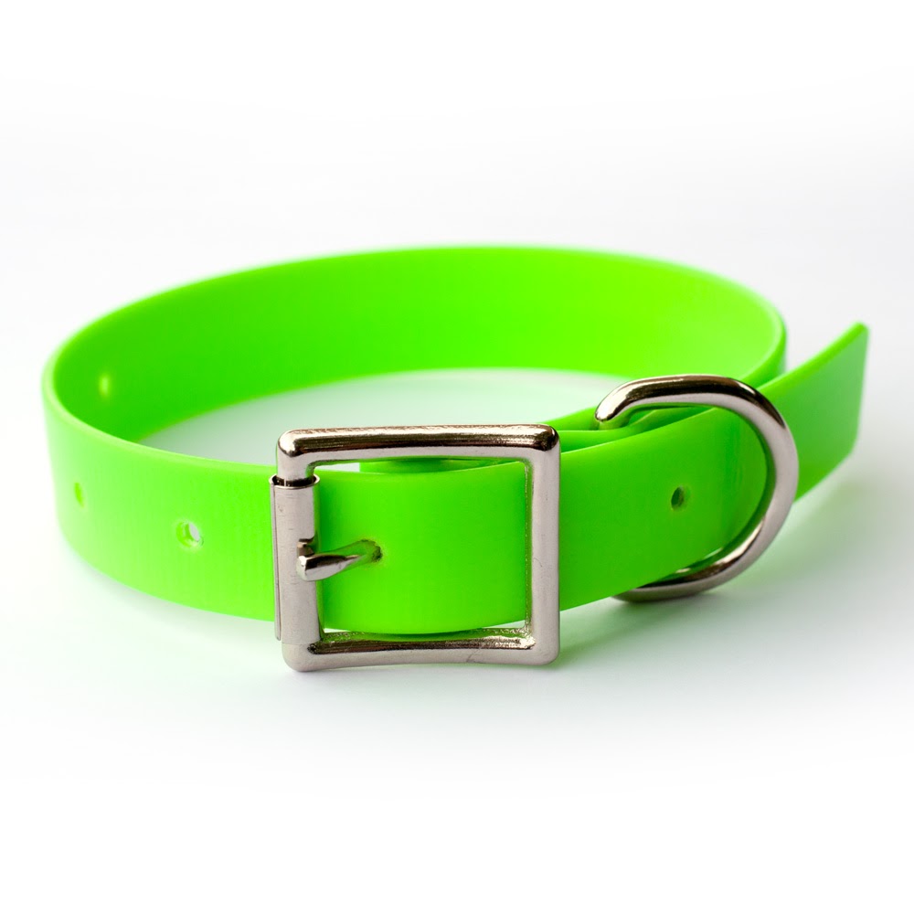 Purchasing a New Dog Collar - Thermo Polymer