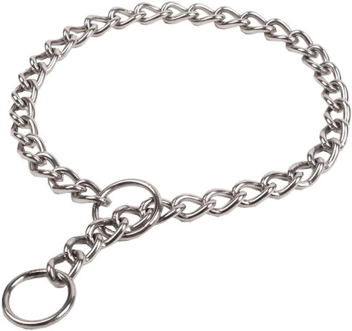 Purchasing a New Dog Collar - Chain