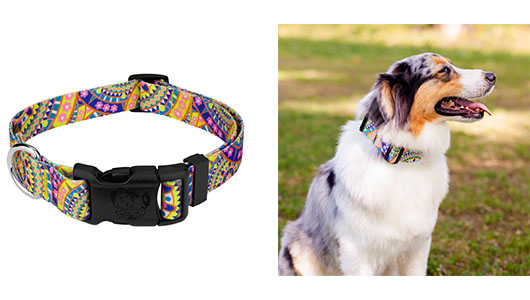 Purchasing a New Dog Collar - Deluxe