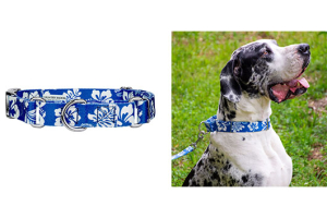 What to Look for When Purchasing a New Dog Collar