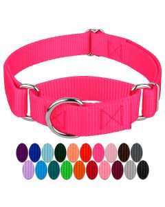 Hot Pink Martingale Heavyduty Nylon Dog Collar - Swatch 