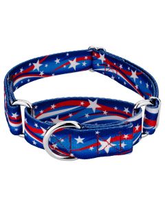 Star Spangled Martingale Dog Collar 