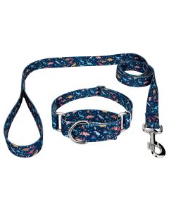 Dinosaurs Martingale Dog Collar and Leash