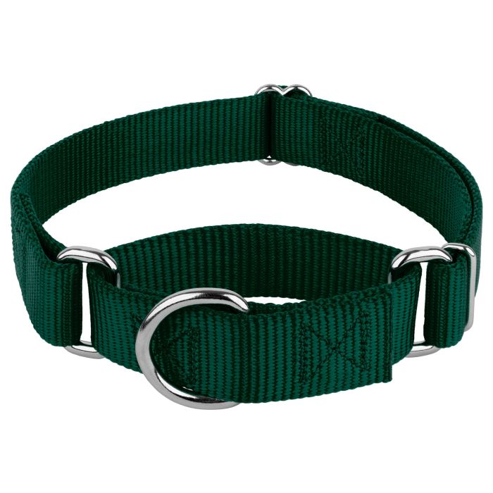 Country brook petz premium nyl s deals dog collar