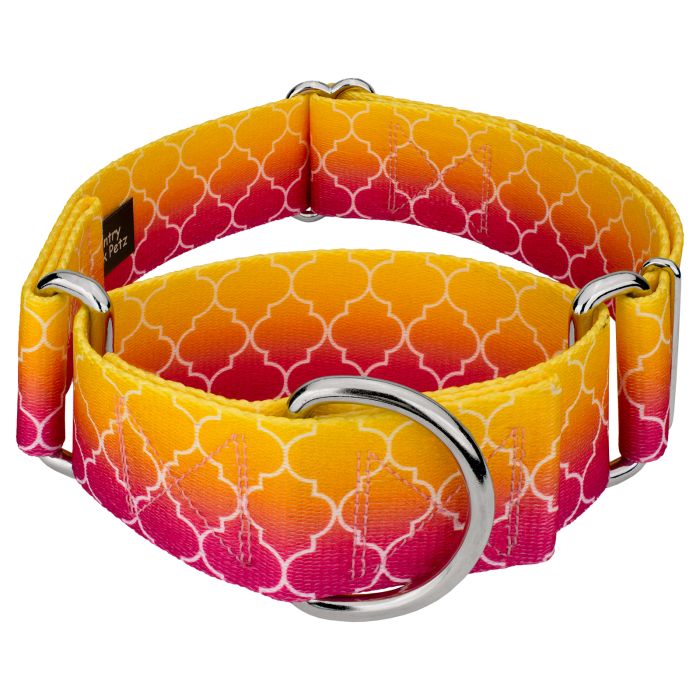 Buy 1 1 2 Inch Fabulous Ombre Martingale Dog Collar Online CB Petz