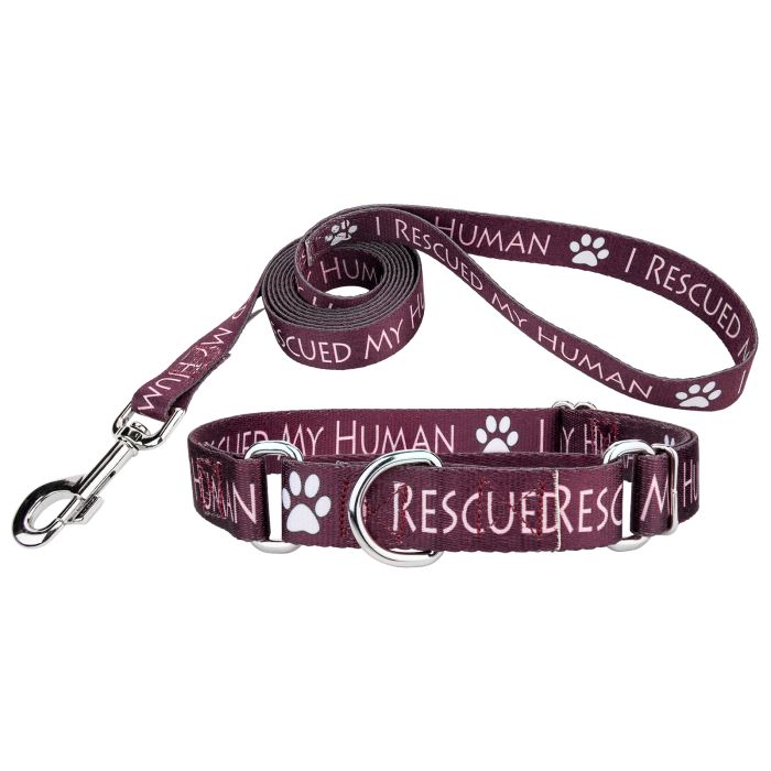 Shops dog collar male