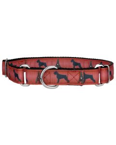 Giant Schnauzer Ribbon Martingale Dog Collar Closeout 