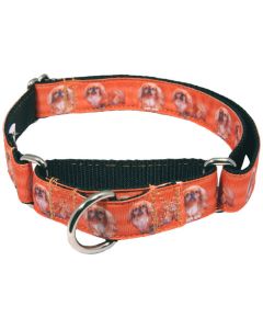 Pekingese Ribbon Martingale Dog Collar