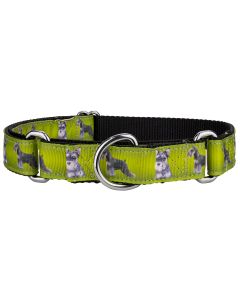 Schnauzer Ribbon Martingale Dog Collar Limited Edition 