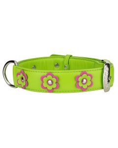 Collar Glamour Lime with Flowers Leather Collar - Large