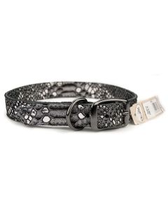 Omni Pet® Silver Native Leather Dog Collar