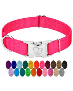 Medium Premium Nylon Dog Collar - 1 Inch Wide