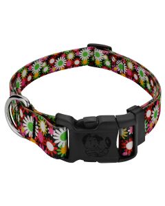 Deluxe Daisy Fields Dog Collar - Made In The U.S.A.