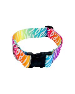 1 1/2 Inch Fashion Zebra Dog Collar