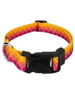 Deluxe Fabulous Ombre Dog Collar - Made In The U.S.A.