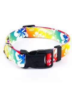 Deluxe Hawaiian Rainbow Dog Collar - Made in the U.S.A.