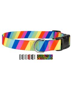 Rainbow Stripes Deluxe Dog Collar