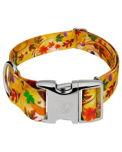 1 1/2 Inch Premium Autumn Wind Dog Collar