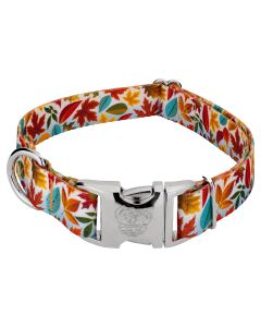 Premium Brisk Autumn Dog Collar