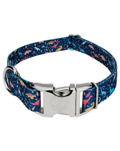 Premium Dinosaurs Dog Collar