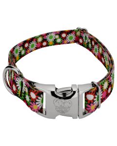 Premium Daisy Fields Dog Collar