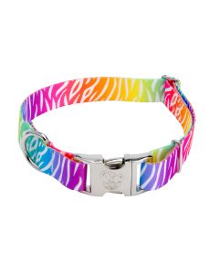 Premium Fashion Zebra Dog Collar