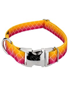 Premium Fabulous Ombre Dog Collar