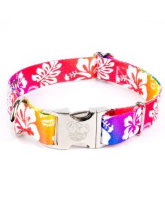 Premium Hawaiian Rainbow Dog Collar