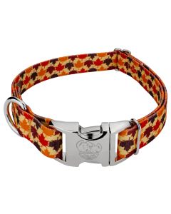 Premium Nature Walk Dog Collar