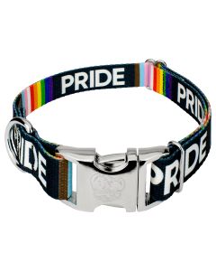 Premium Pride Dog Collar