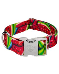 1 1/2 Inch Premium Summer Melon Dog Collar