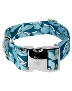 1 1/2 Inch Premium Sharks Dog Collar