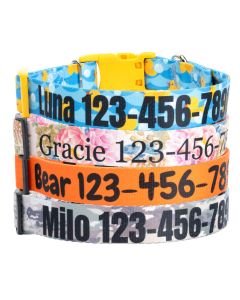 Personalized Dog Collar