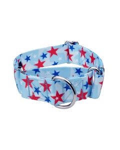 1 1/2 Inch American Celebration Martingale Dog Collar