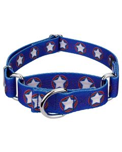 American Stars Martingale Dog Collar