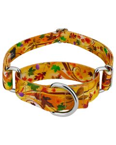 Autumn Wind Martingale Dog Collar