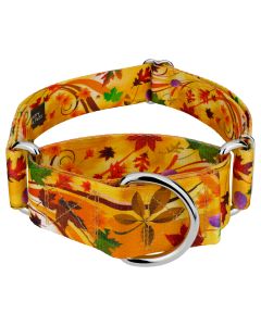 1 1/2 Inch Autumn Wind Martingale Dog Collar