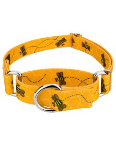 Busy Bee Martingale Dog Collar