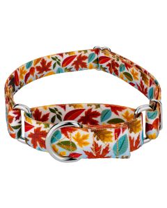 Brisk Autumn Martingale Dog Collar