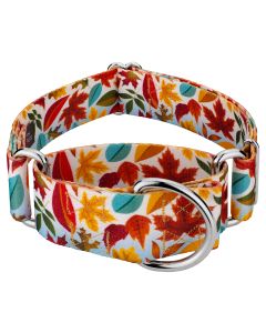 1 1/2 Inch Brisk Autumn Martingale Dog Collar