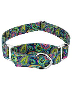 Bright Paisley Martingale Dog Collar