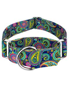  1 1/2 Inch Bright Paisley Martingale Dog Collar