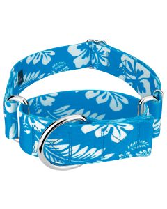 1 1/2 Inch Blue Hawaiian Martingale Dog Collar