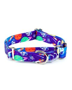 Cosmic Dreams Martingale Dog Collar