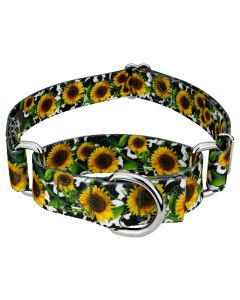 Dairy Fields Martingale Dog Collar