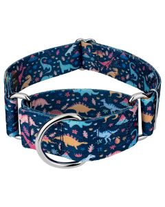 1 1/2 Inch Dinosaurs Martingale Dog Collar