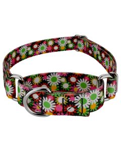 Daisy Fields Martingale Dog Collar