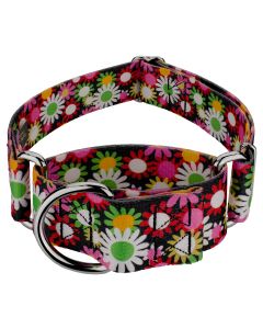 1 1/2 Inch Daisy Fields Martingale Dog Collar