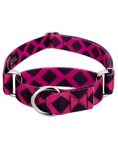 Fabulous Lattice Martingale Dog Collar Limited Edition